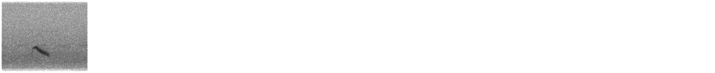 Gri Yanaklı Bülbül Ardıcı - ML619212897