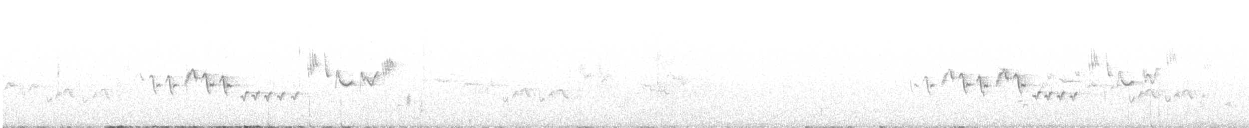 Скрытный ложнокрапивник - ML619216416