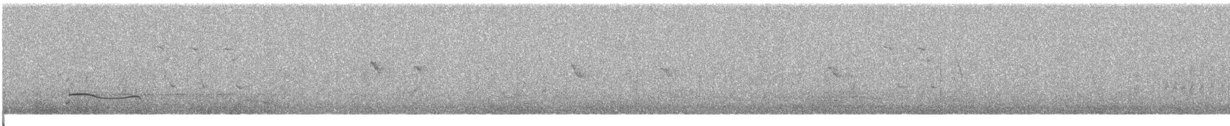 Black-bellied Plover - ML619217059