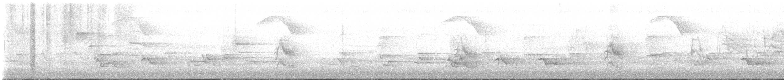 Gri Yanaklı Bülbül Ardıcı - ML619218194