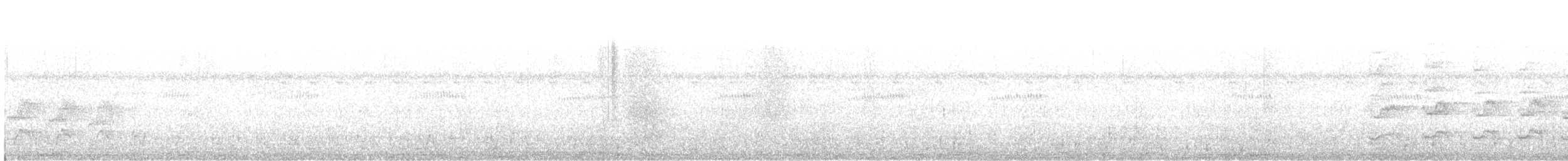 holub neotropický - ML619218298
