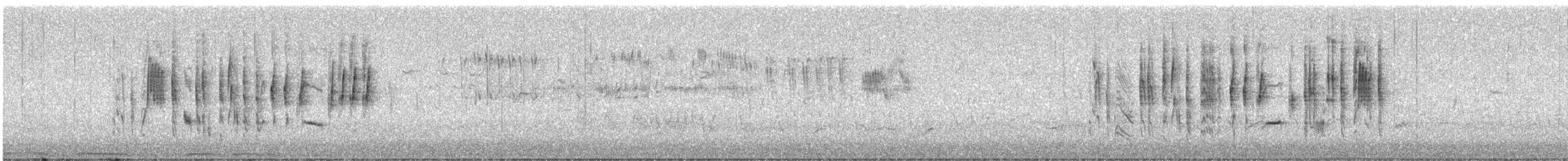 Txinbo papargorrizta iberiarra - ML619219422