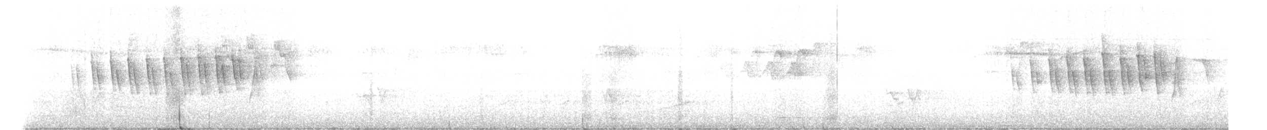 Paruline à calotte noire - ML619219484