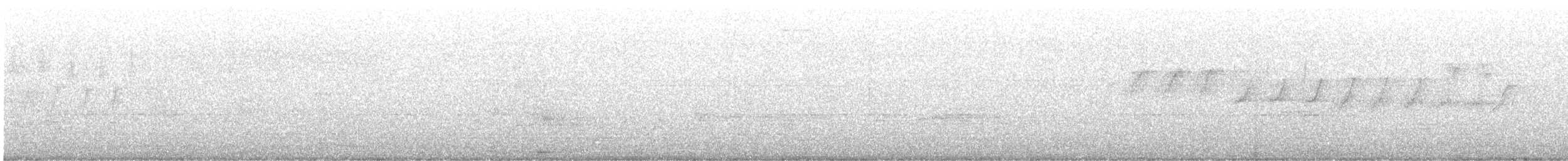 Атласная нектарница - ML619220731