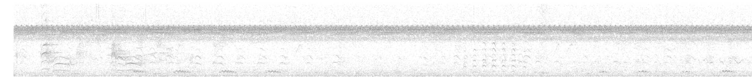 holoubek šupinkový - ML619221293