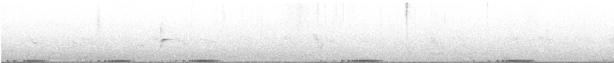 holub skalní (domácí) - ML619222700