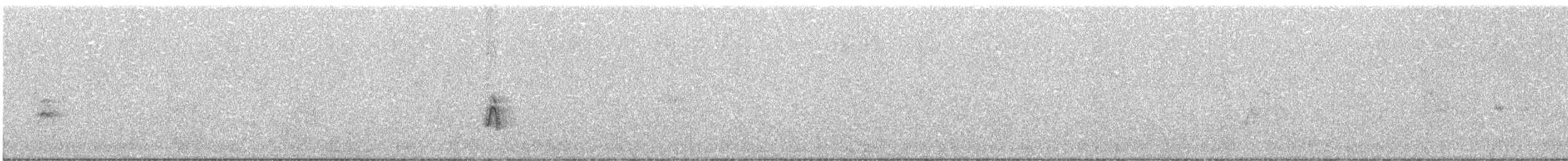 Graumantel-Brillenvogel - ML619222954