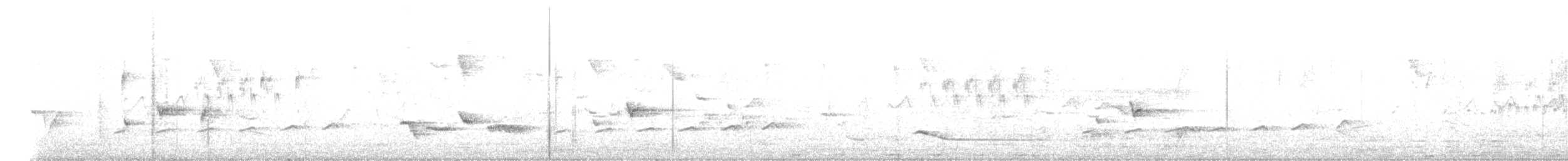Вилохвостая дронговая кукушка - ML619225626