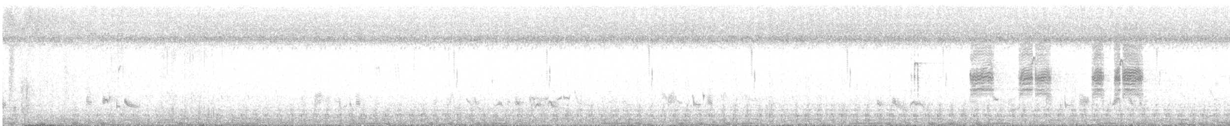 halsbåndfrankolin - ML619226845