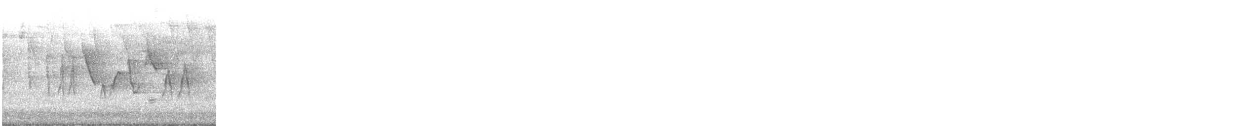 Paruline du Canada - ML619226874