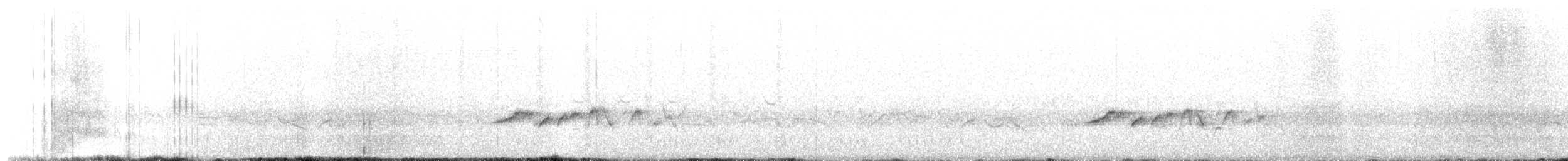 Синьохвіст білобровий - ML619226932