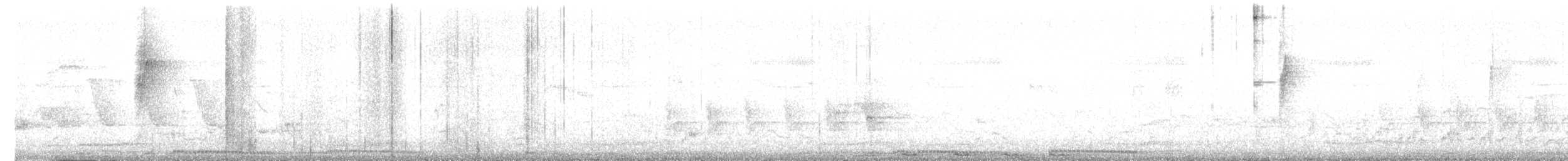 páv korunkatý - ML619228131