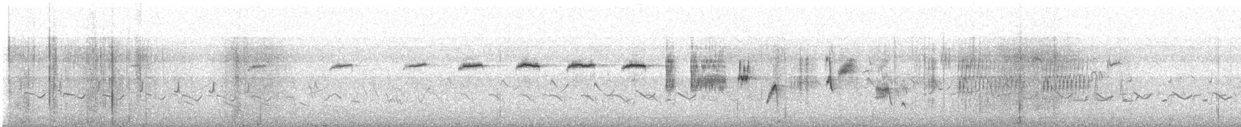オガワコマドリ（azuricollis） - ML619229252