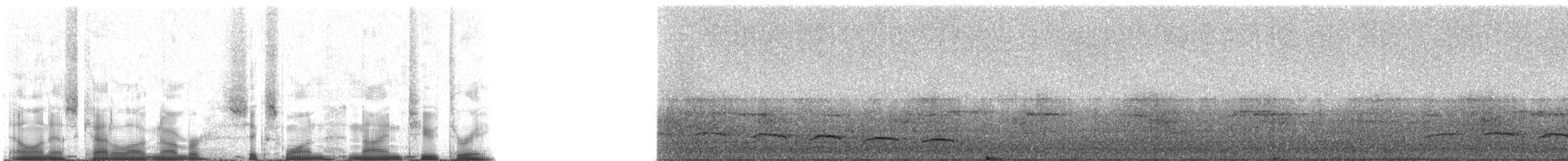 Schwarzbrust-Ameisenvogel (tucuyensis) - ML61923