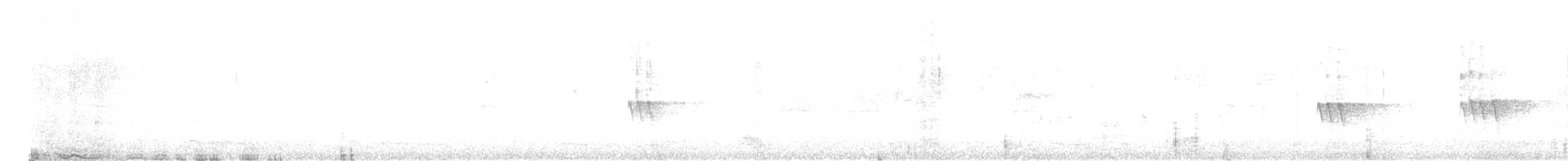 Strichelspinnenjäger - ML619231237