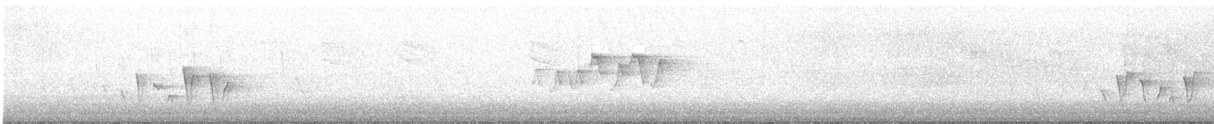 Connecticut Warbler - ML619231393