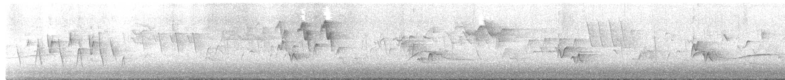 Connecticut Warbler - ML619231427