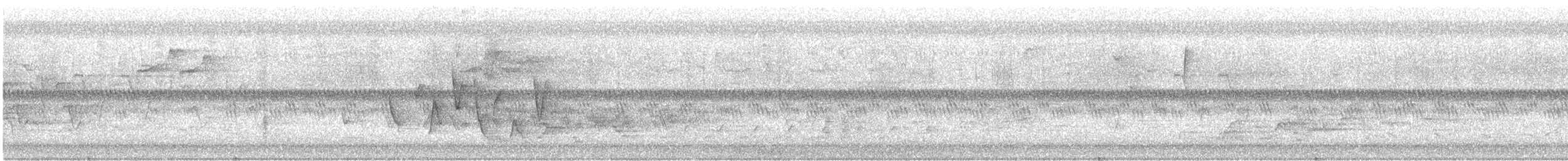 Paruline à gorge grise - ML619231752