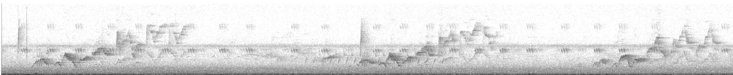 Дрізд-короткодзьоб Cвенсона - ML619235679