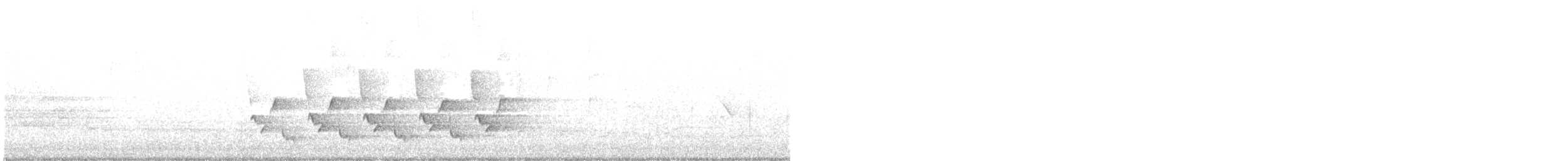 Каролинский крапивник - ML619236321
