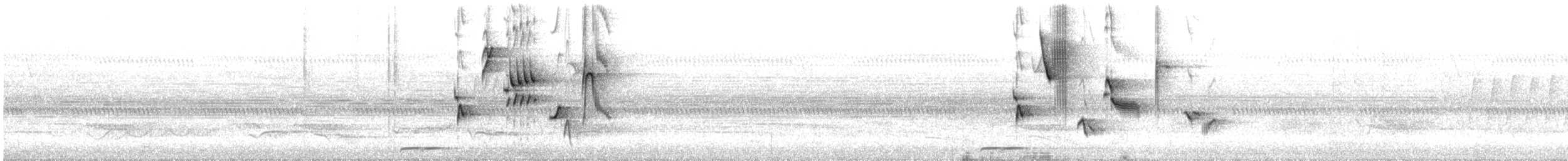 Дрізд-короткодзьоб південний - ML619236676