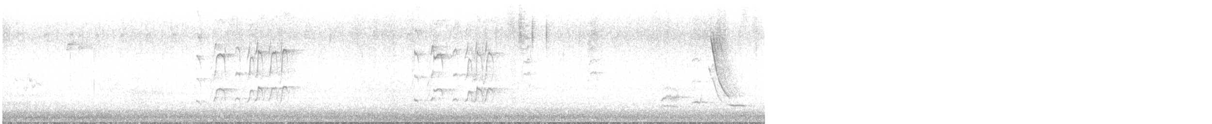 Новозеландская веерохвостка - ML619237185