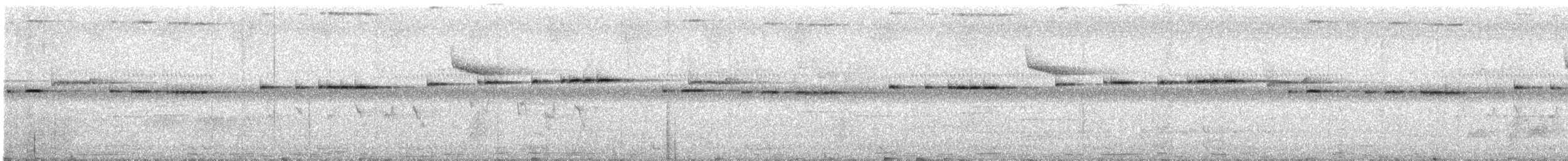 Spotted Elachura - ML619238001