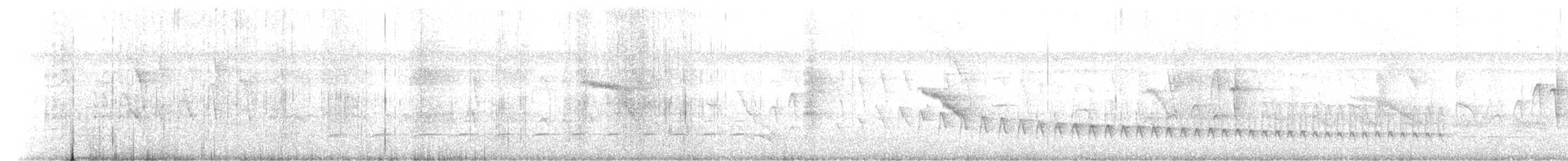 White-flanked Antwren - ML619238530