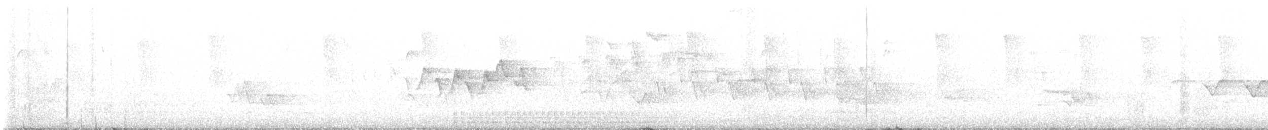 Болотянка чорногорла - ML619240105