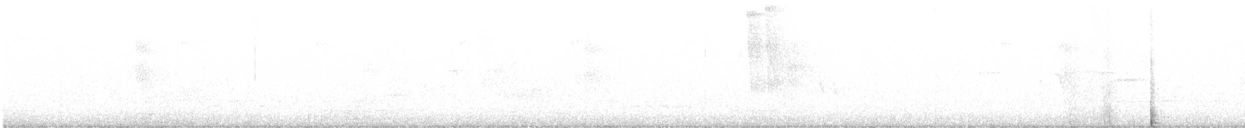 Paruline à capuchon - ML619240106