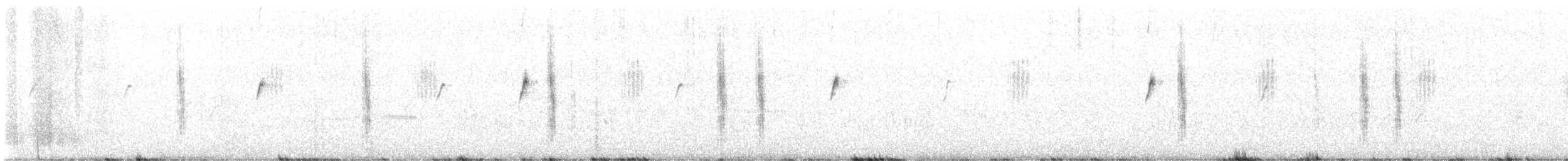 דוחל שחור-גרון - ML619241205