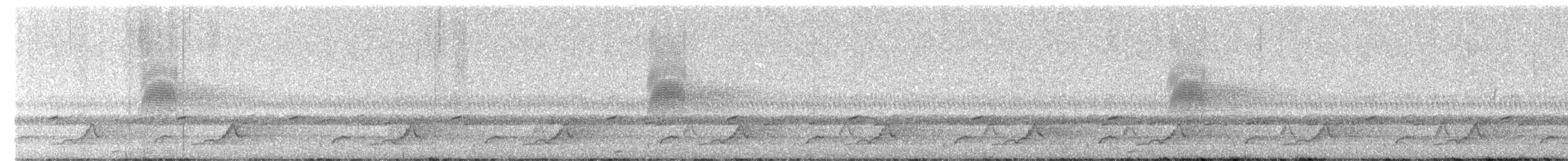 Schwarzkehl-Nachtschwalbe - ML619241244