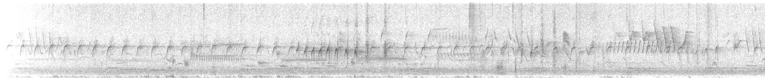 hjelmfiskand - ML619241323