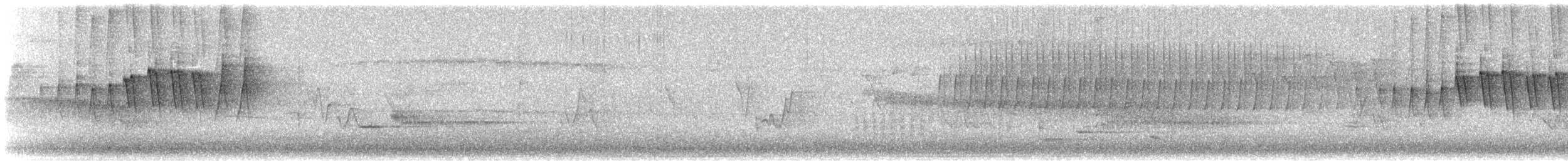 Малая вильсония - ML619241475