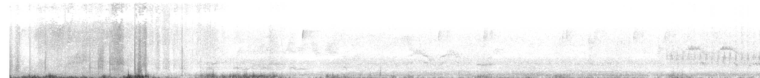 Дрізд-короткодзьоб малий/канадський - ML619242245