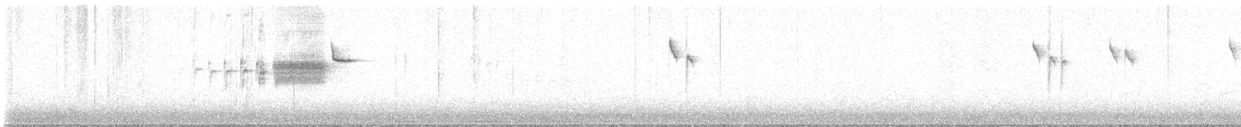 Golden-cheeked Warbler - ML619243338