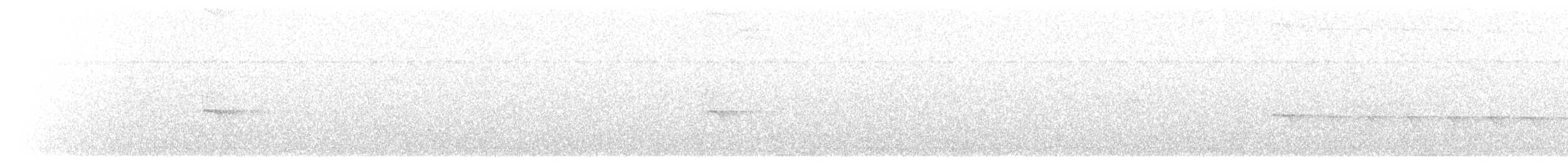 Zeledon Karıncakuşu - ML619244421