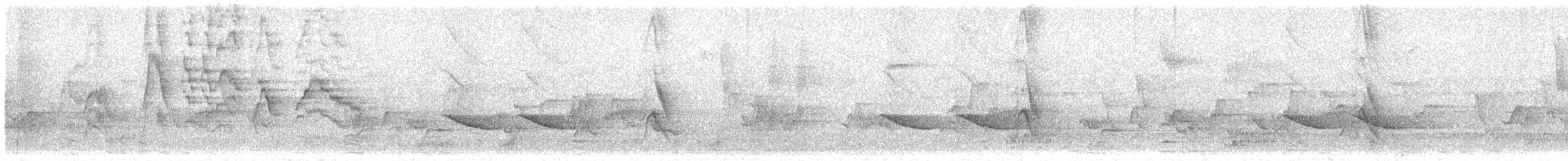 Gray-cheeked Thrush - ML619244425