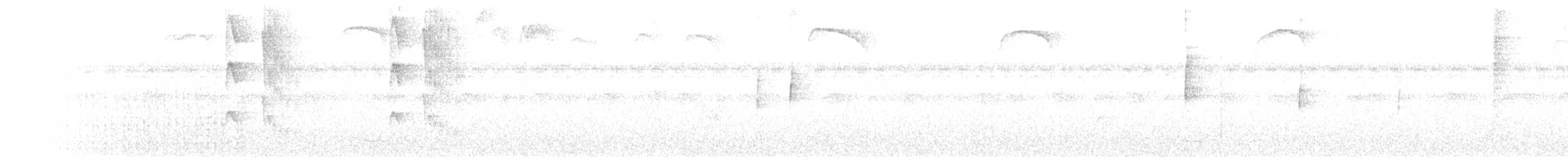 Тиран-інка андійський - ML619244495