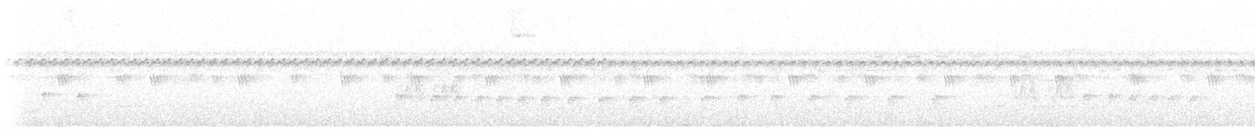 Microtyran chevelu - ML619244510