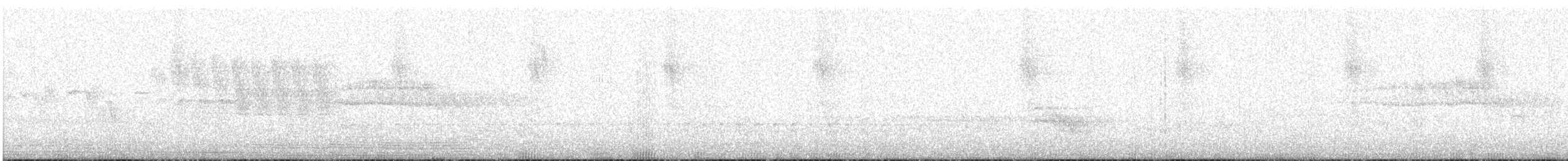 Colibri d'Allen - ML619246741