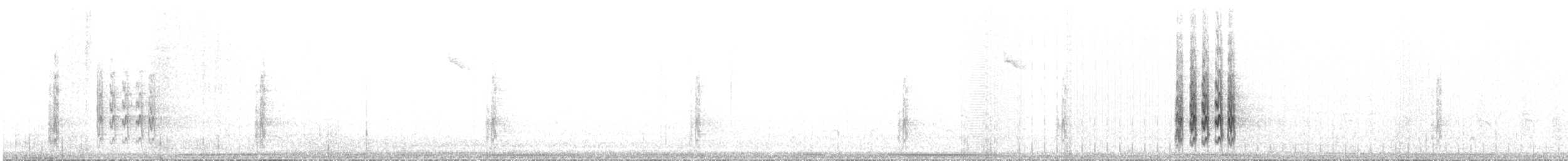 Рибалочка-чубань неотропічний - ML619247187