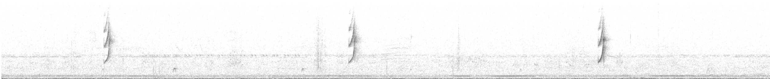 Темнолобая иглохвостка - ML619247230