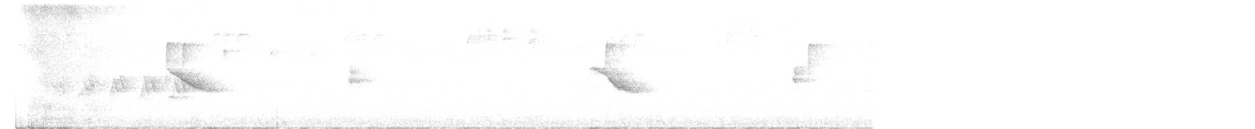 Дрізд-короткодзьоб канадський - ML619247672