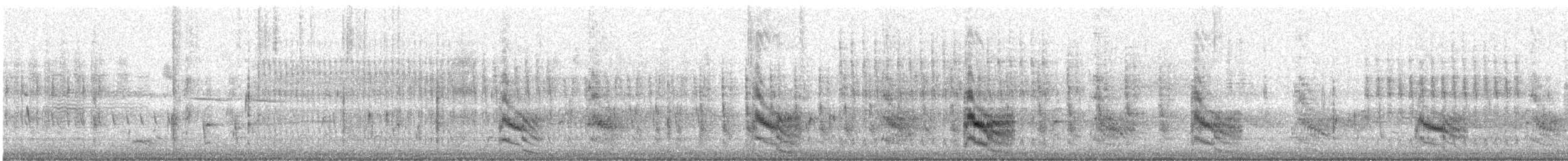 שחפית שחורת-אוזן - ML619248281