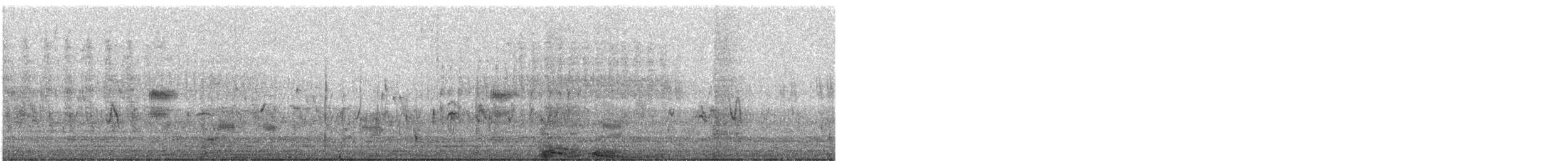 疣鼻天鵝 - ML619248391