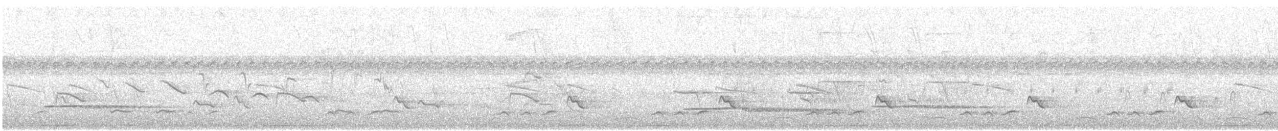 Oriole à queue jaune - ML619248736