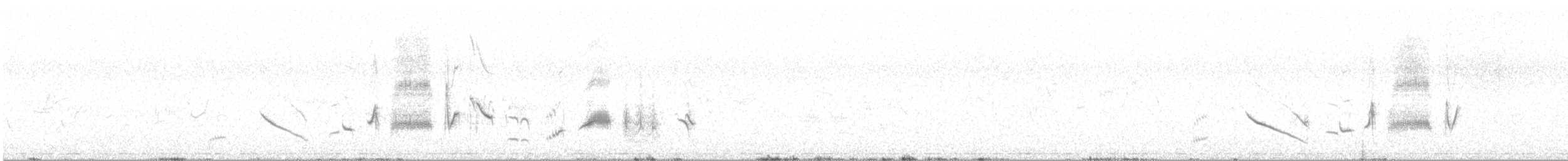 skalník zpěvný - ML619250111