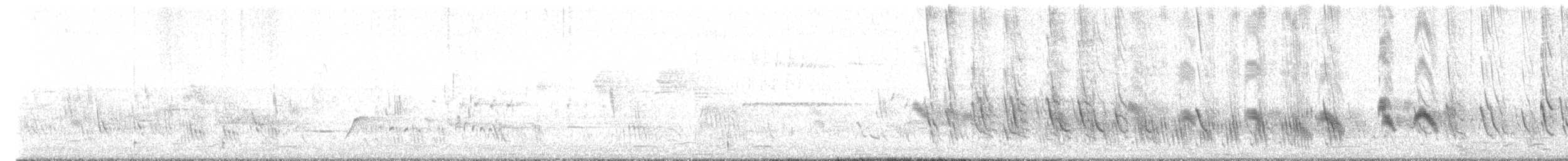 Golondrina Purpúrea - ML619251183