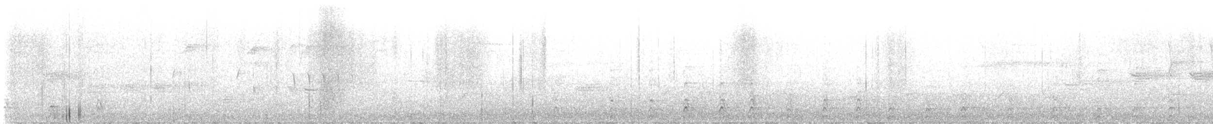 hvitbrynsvartspett - ML619251367